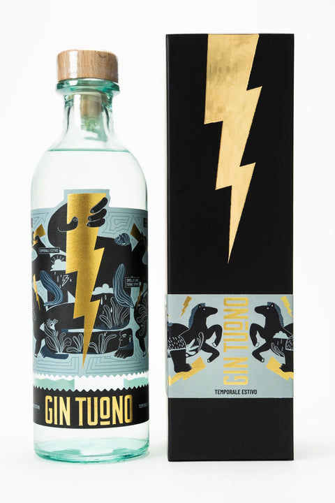 GIN TUONO - TEMPORALE ESTIVO