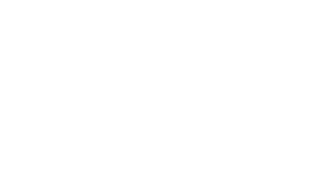 Il Vice