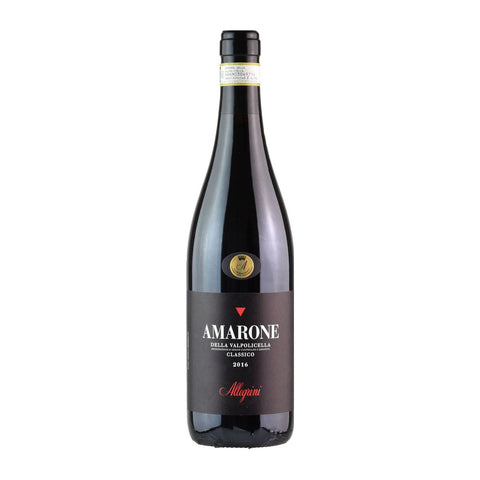 AMARONE DELLA VALPOLICELLA 2019 |ALLEGRINI